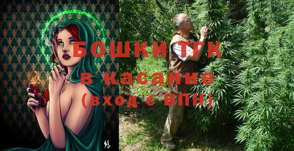 прущие грибы Богородицк