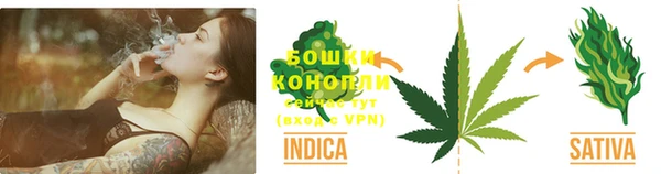 прущие грибы Богородицк